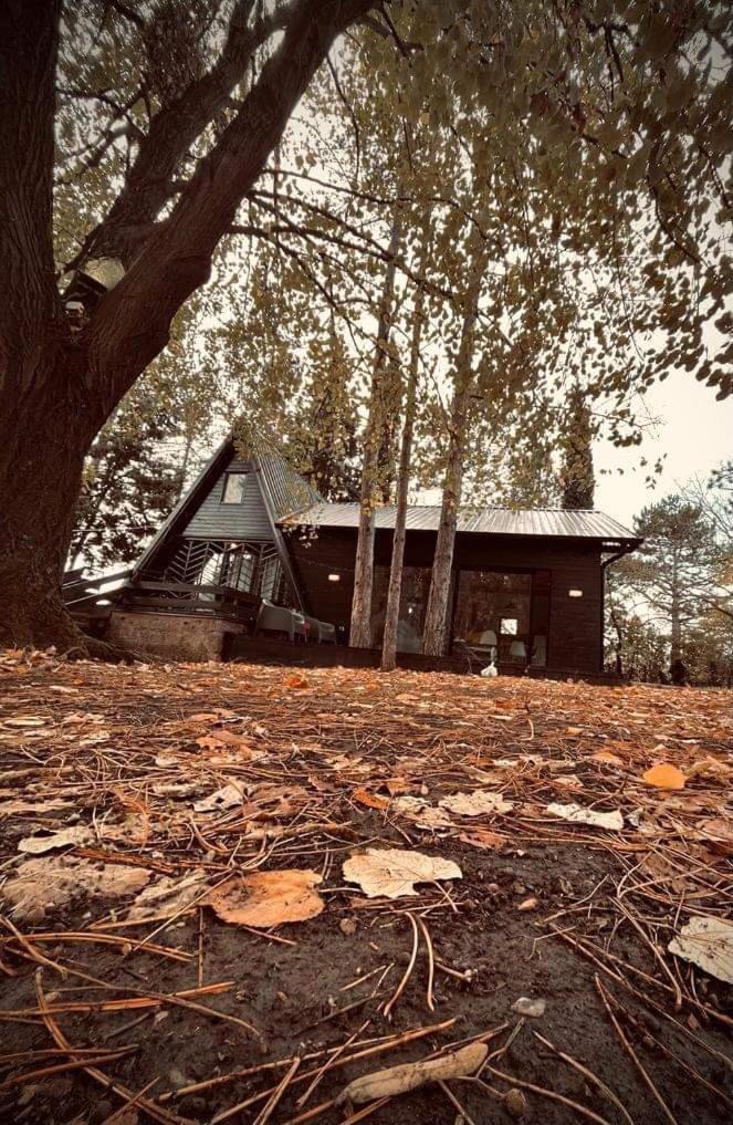 Kuca Za Odmor Vrdnik 빌라 외부 사진
